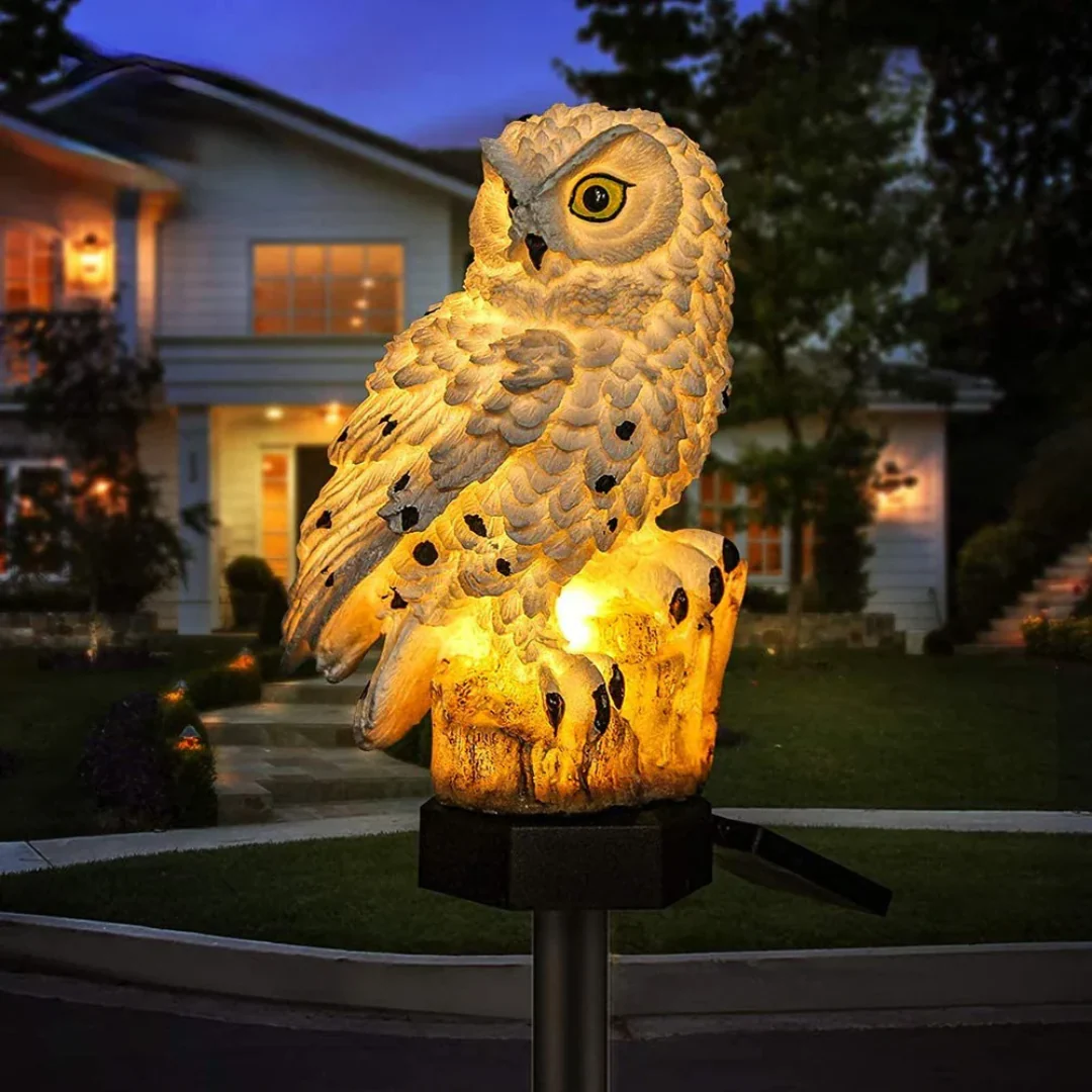 Outdoor & Garden